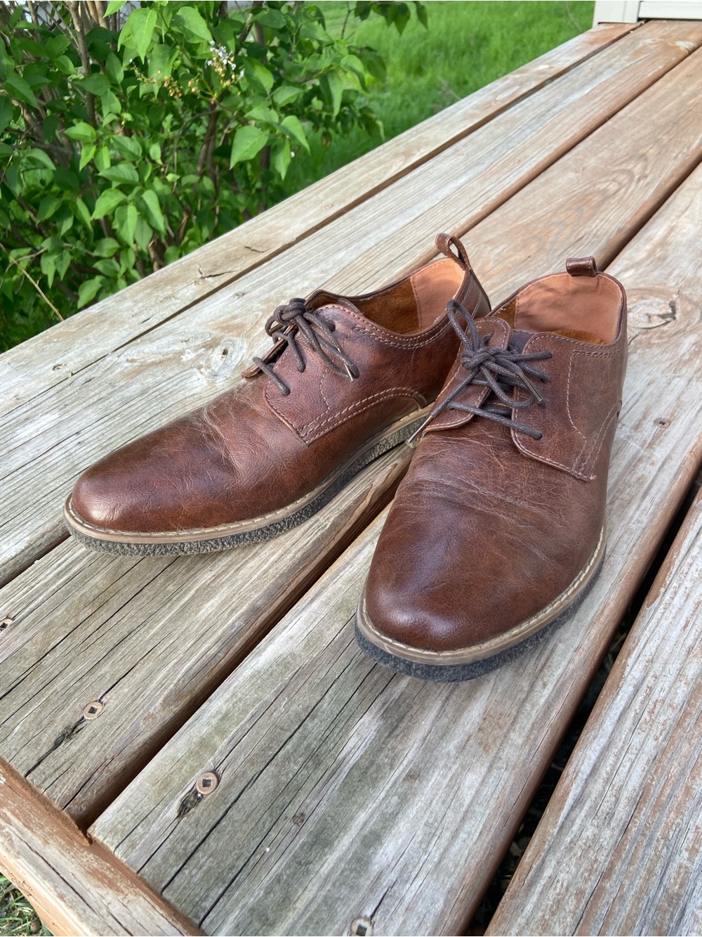 Deer Stags Men's Brown Dress Shoes